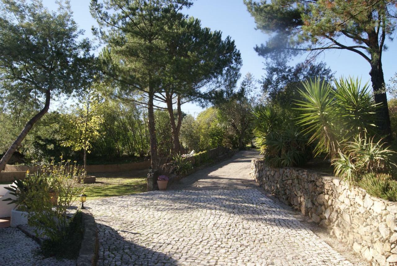 Casa Do Vale Villa Sao Pedro de Tomar Ngoại thất bức ảnh