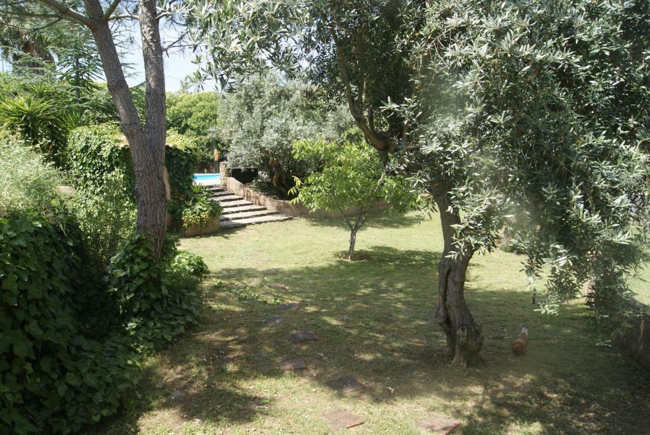 Casa Do Vale Villa Sao Pedro de Tomar Ngoại thất bức ảnh